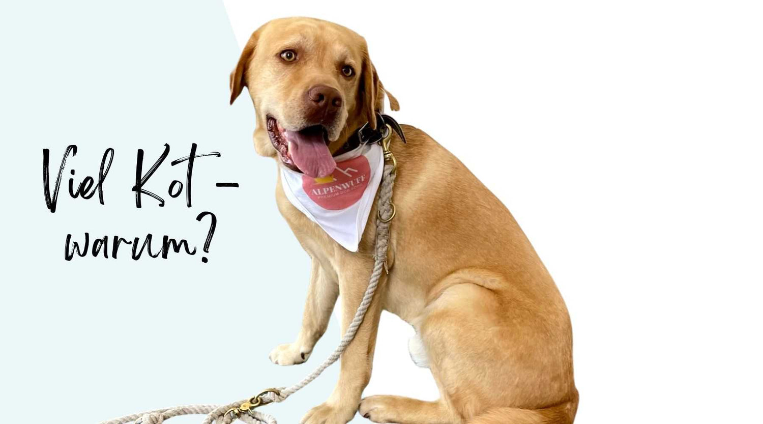 Hund viel Kot Alpenwuff Ratgeber
