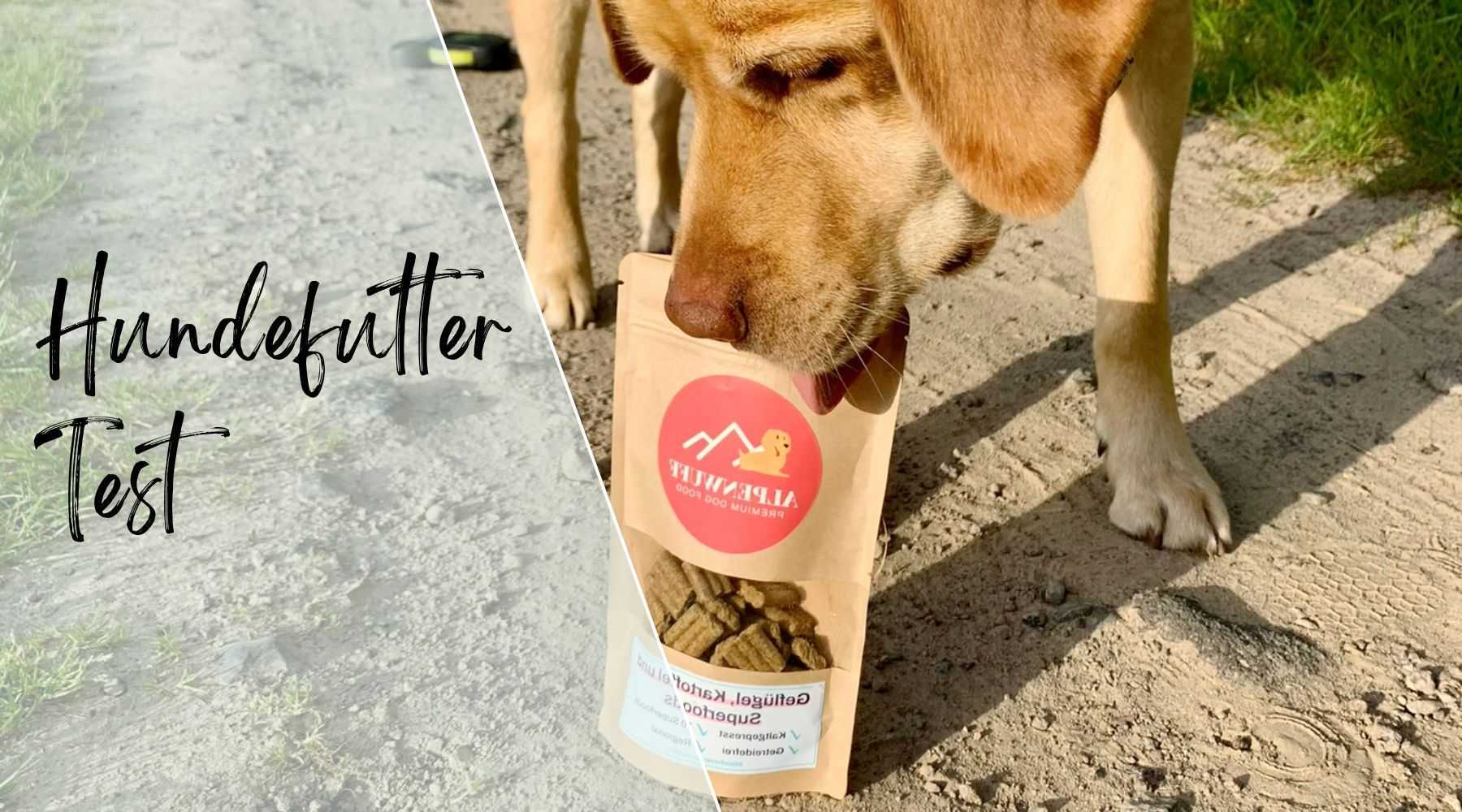 Hundefutter Test kaltgepresstes Hundefutter Alpenwuff Ratgeber