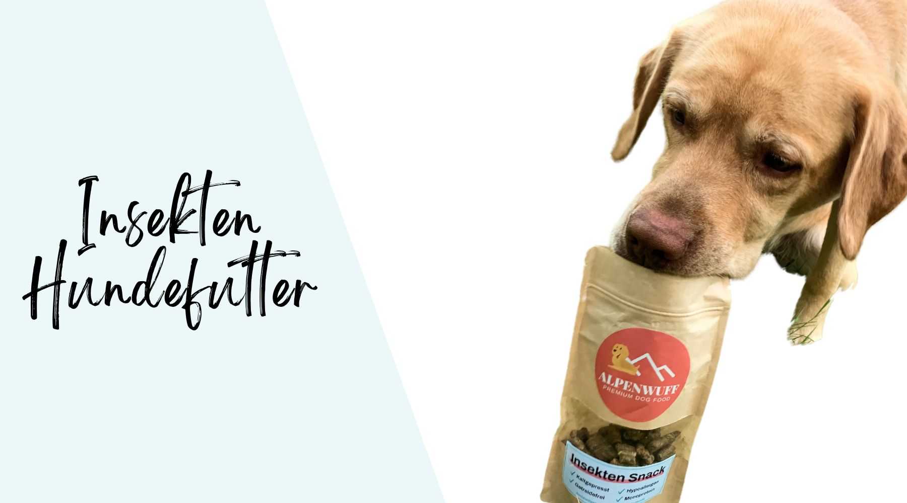 Insekten Hundefutter - ein berblick I Alpenwuff Ratgeber
