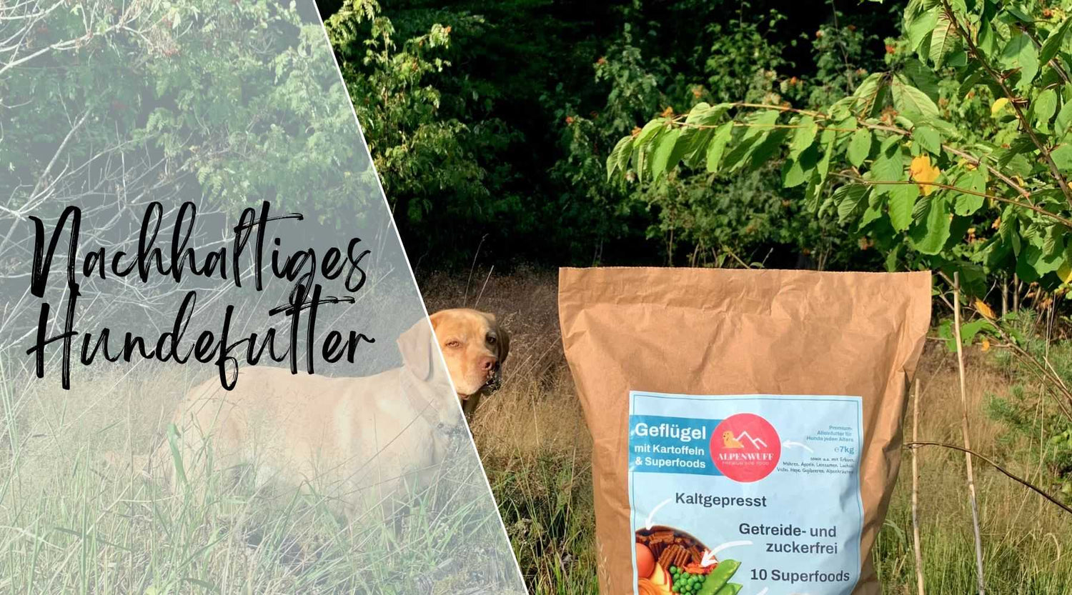 Nachhaltiges Hundefutter Alpenwuff Ratgeber