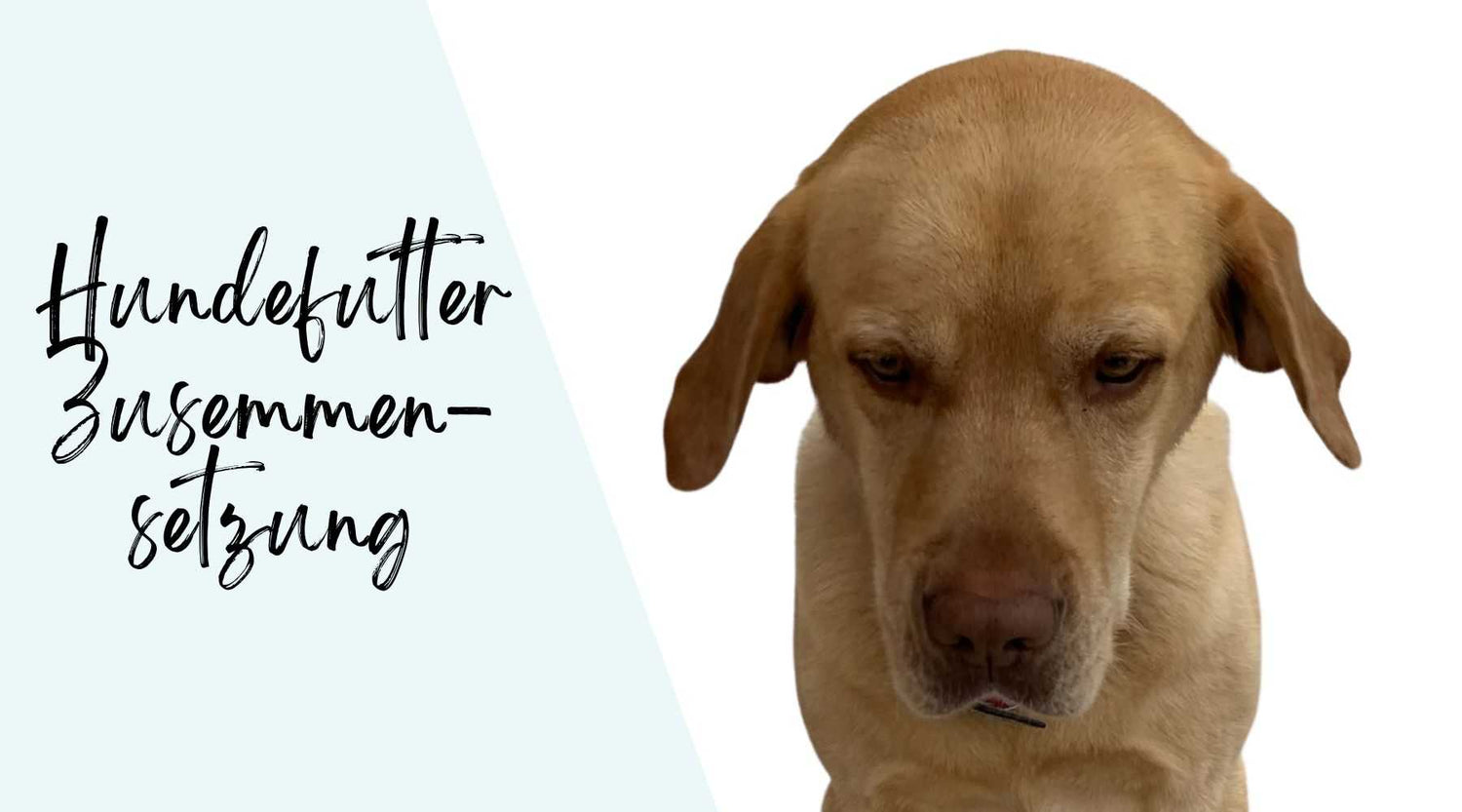 Hundefutter Zusammensetzung Deklaration Alpenwuff Ratgeber