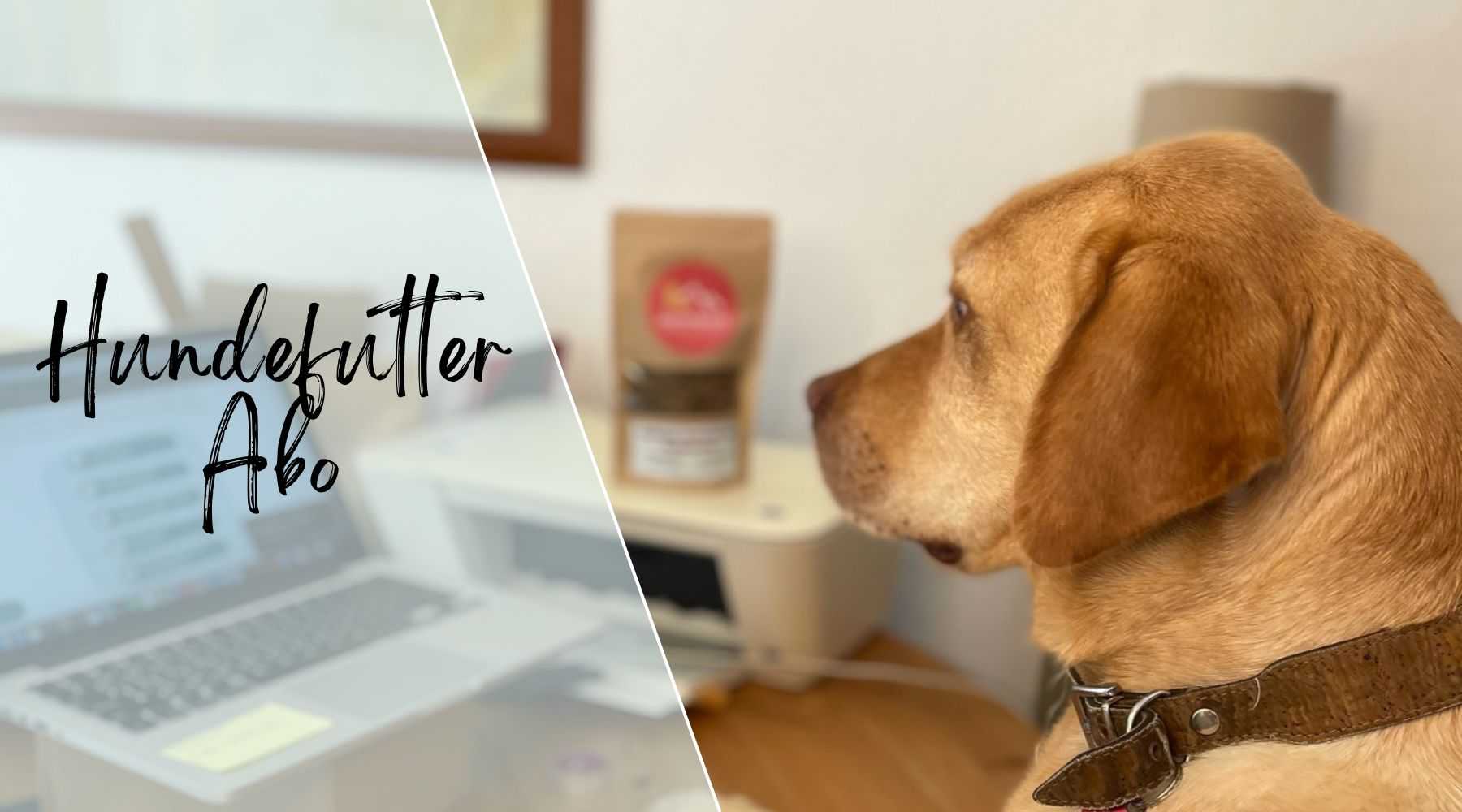 Hundefutter Abo (Flex-Abo) - Was ist das?