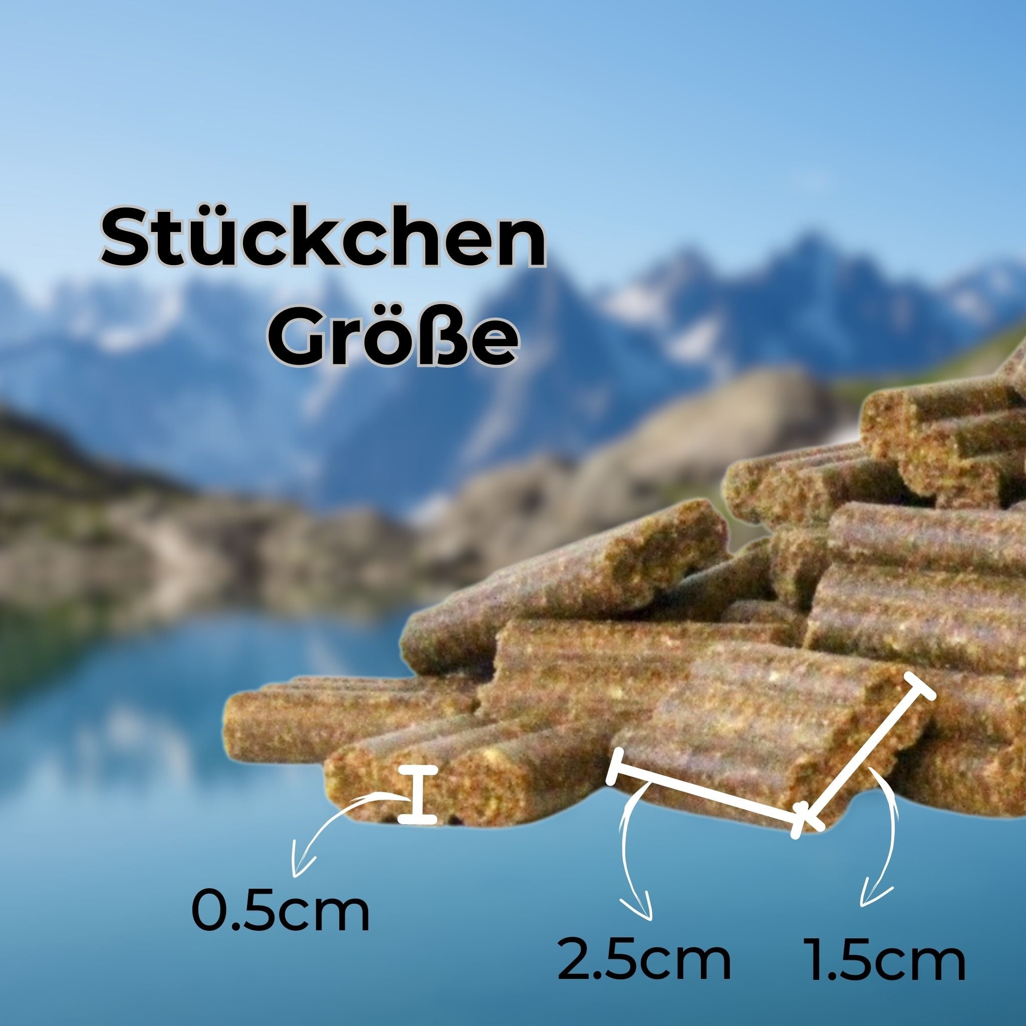 Hundefutter Probierpaket Rind