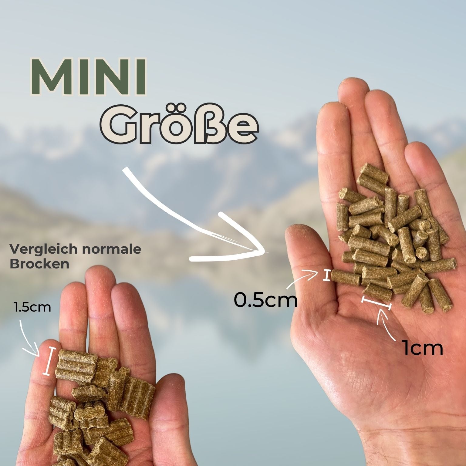 MINI Lamb with Potatoes & Peas - Small Breeds