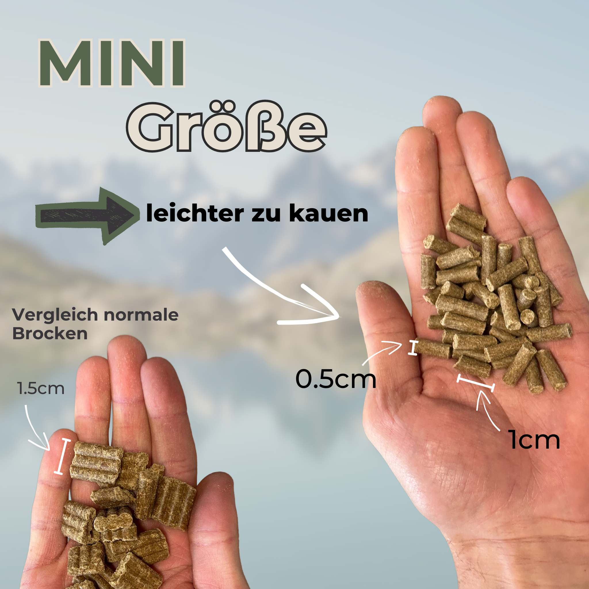 Lamb with potatoes & peas