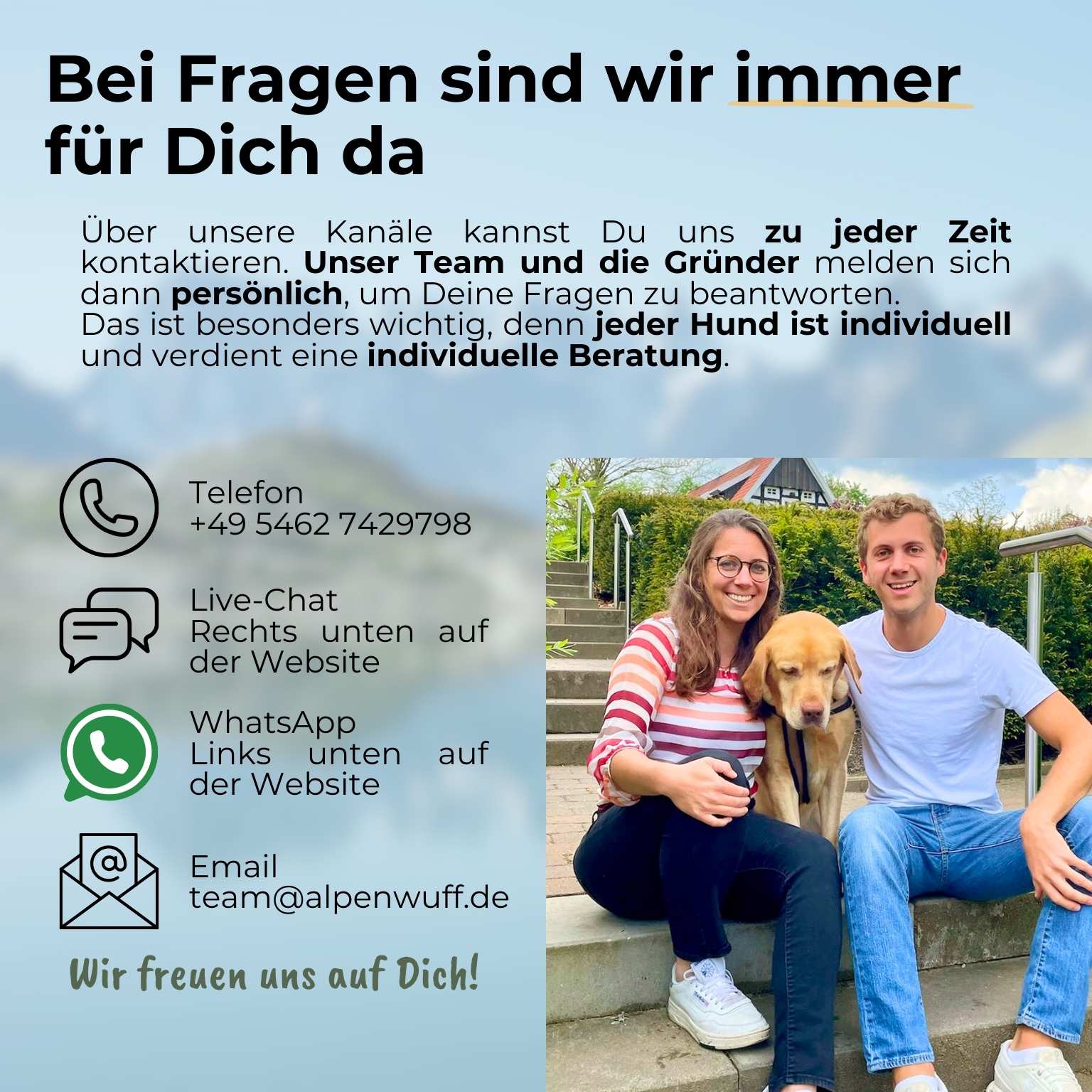 Hundefutter Probierpaket Rind
