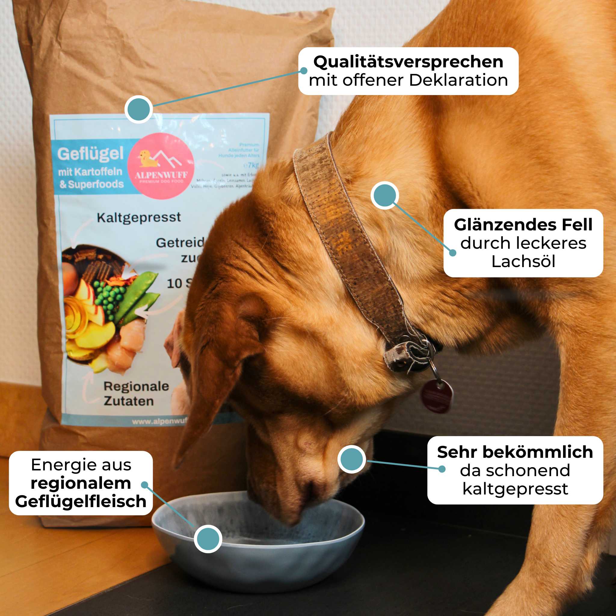 Mix-Paket Geflügel