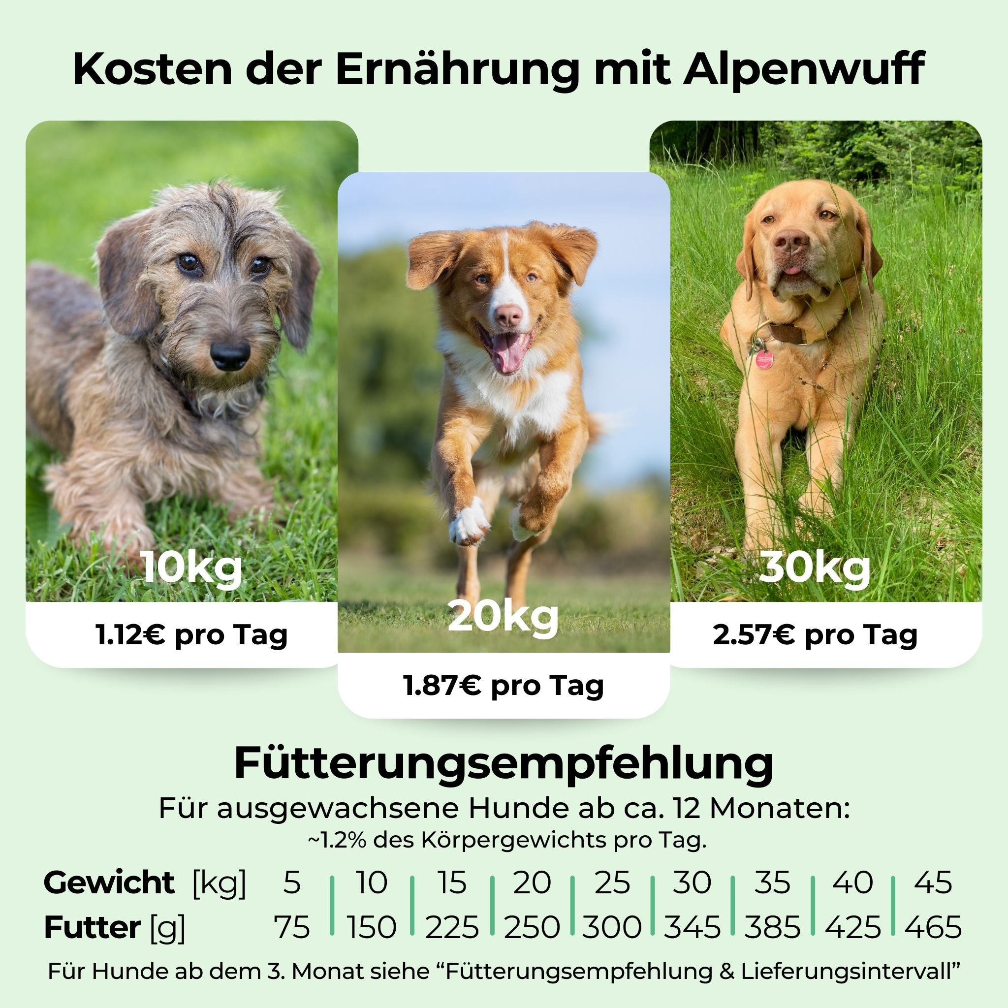 Insects with potatoes & peas - hypoallergenic dog food