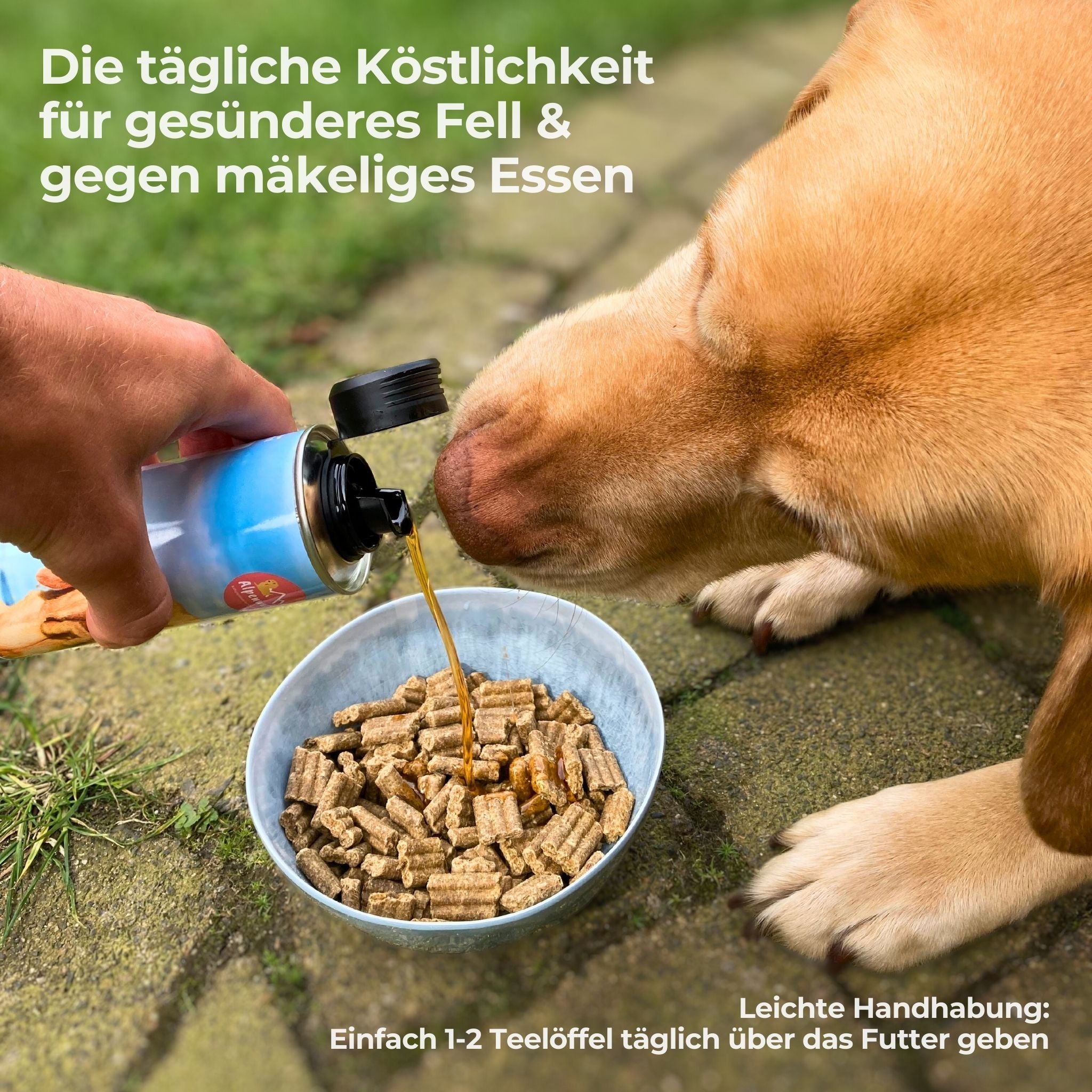 Salmon oil for dogs - Omega3+