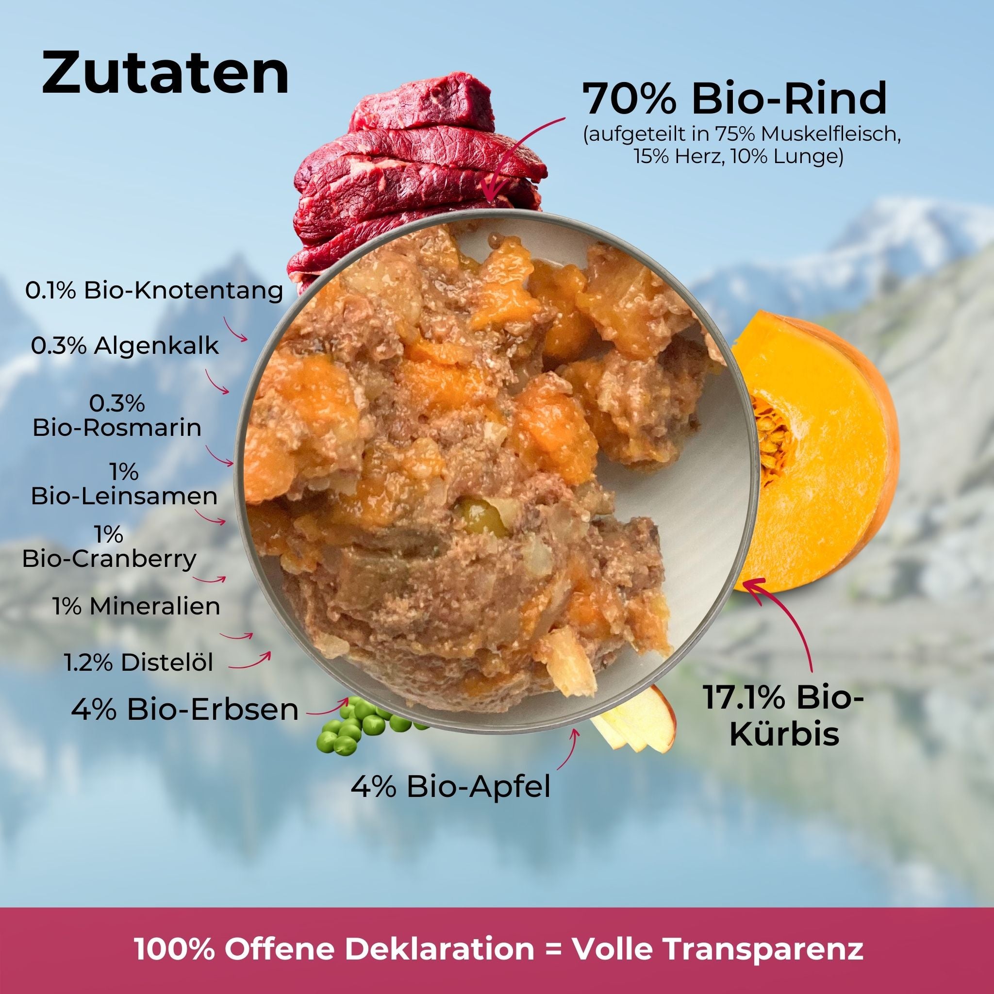 Hundefutter Probierpaket Rind
