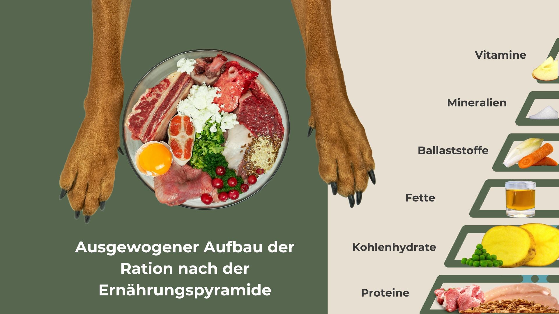Ernährungspyramide Hundefutter Alpenwuff