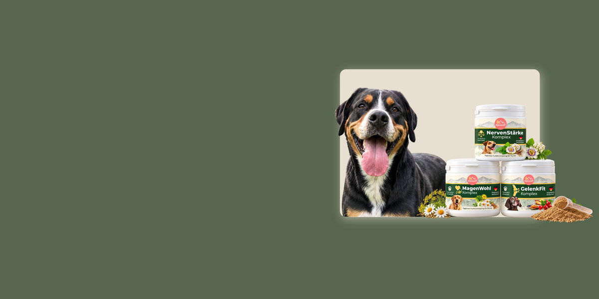 collection funktionstopping desktop