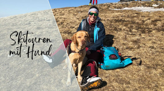 Skitouren mit Hund Alpenwuff Ratgeber