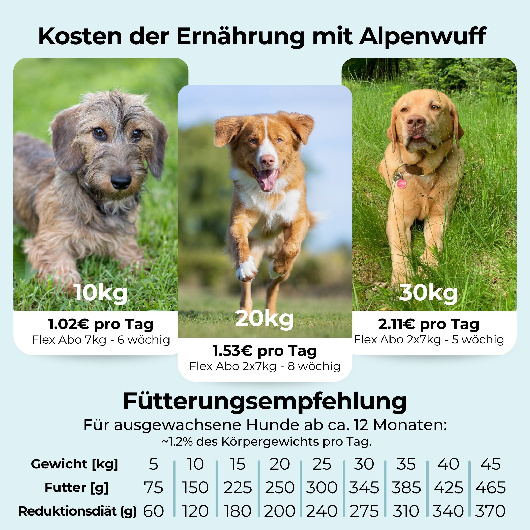 Lamb with potatoes &amp; peas 