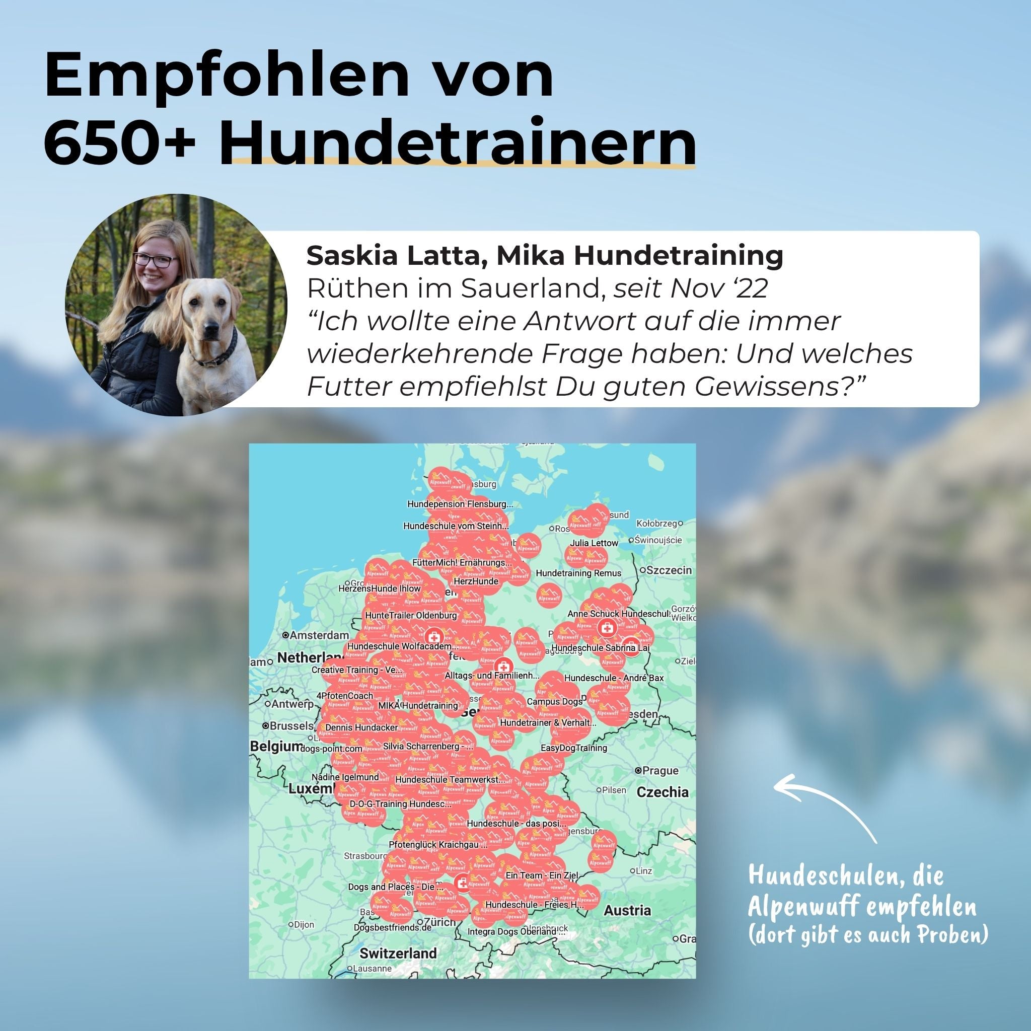 Insekten mit Kartoffeln & Erbsen - hypoallergenes Hundefutter