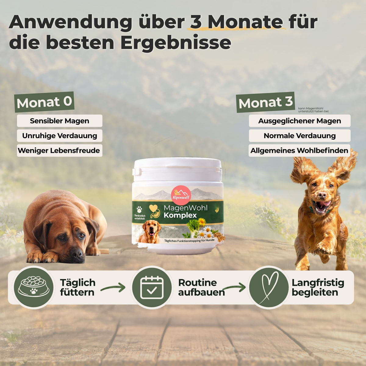 MagenWohl Funktionstopping