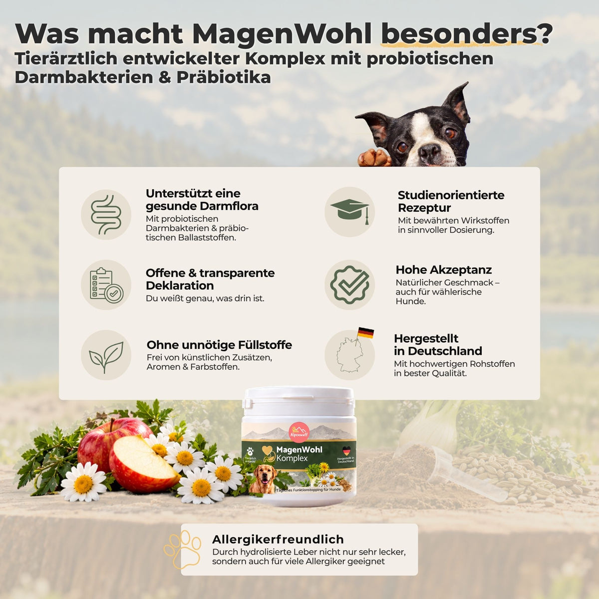 MagenWohl Funktionstopping