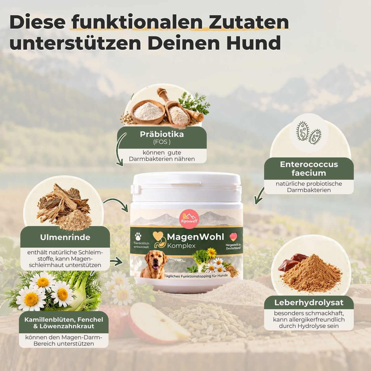 MagenWohl Funktionstopping