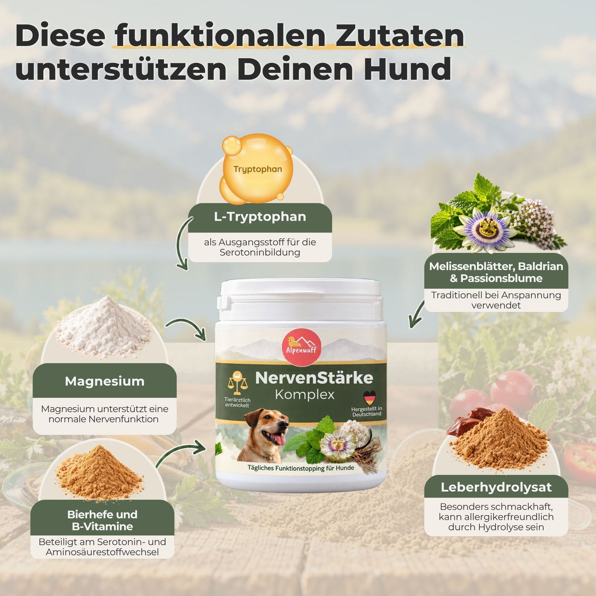 NervenStärke Funktionstopping